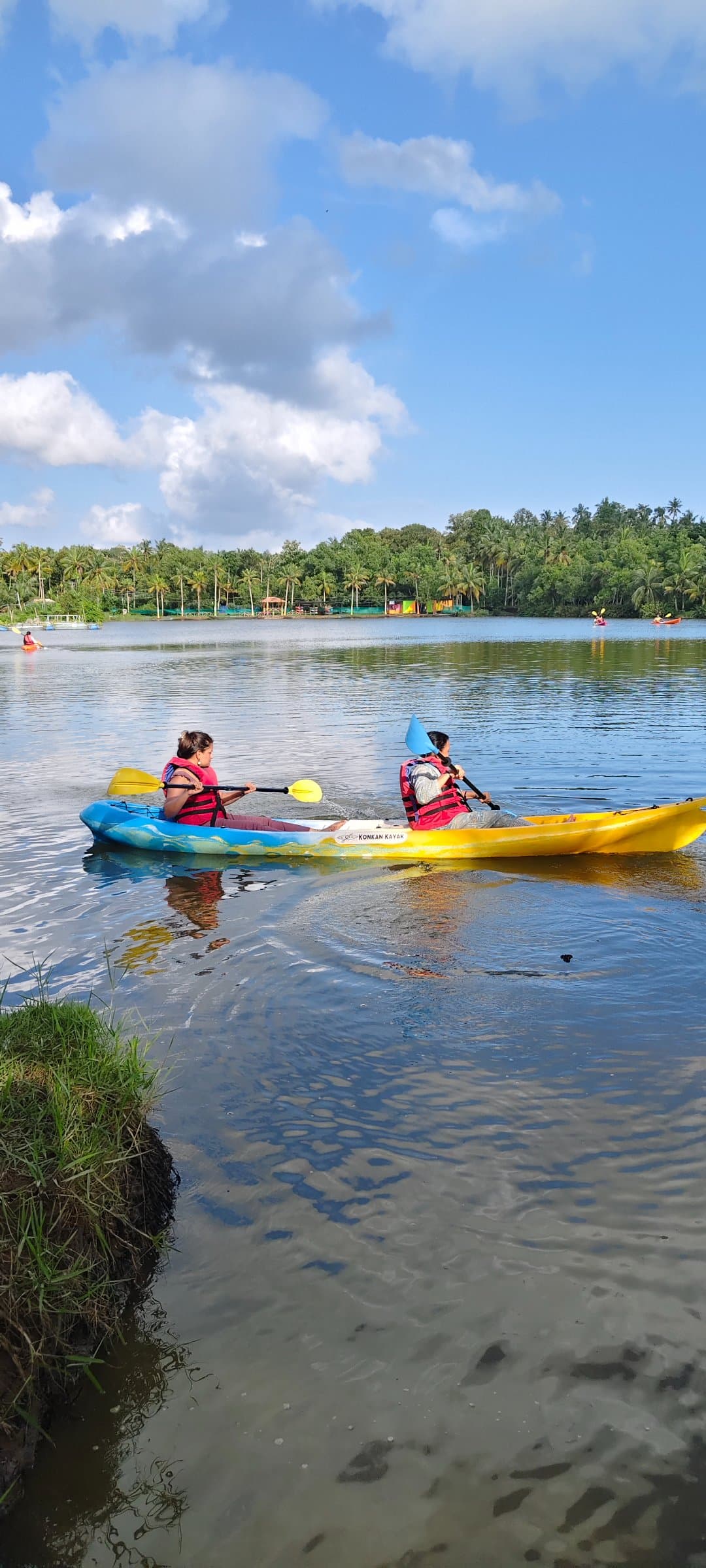 Mangrove Forest Kayaking Adventure