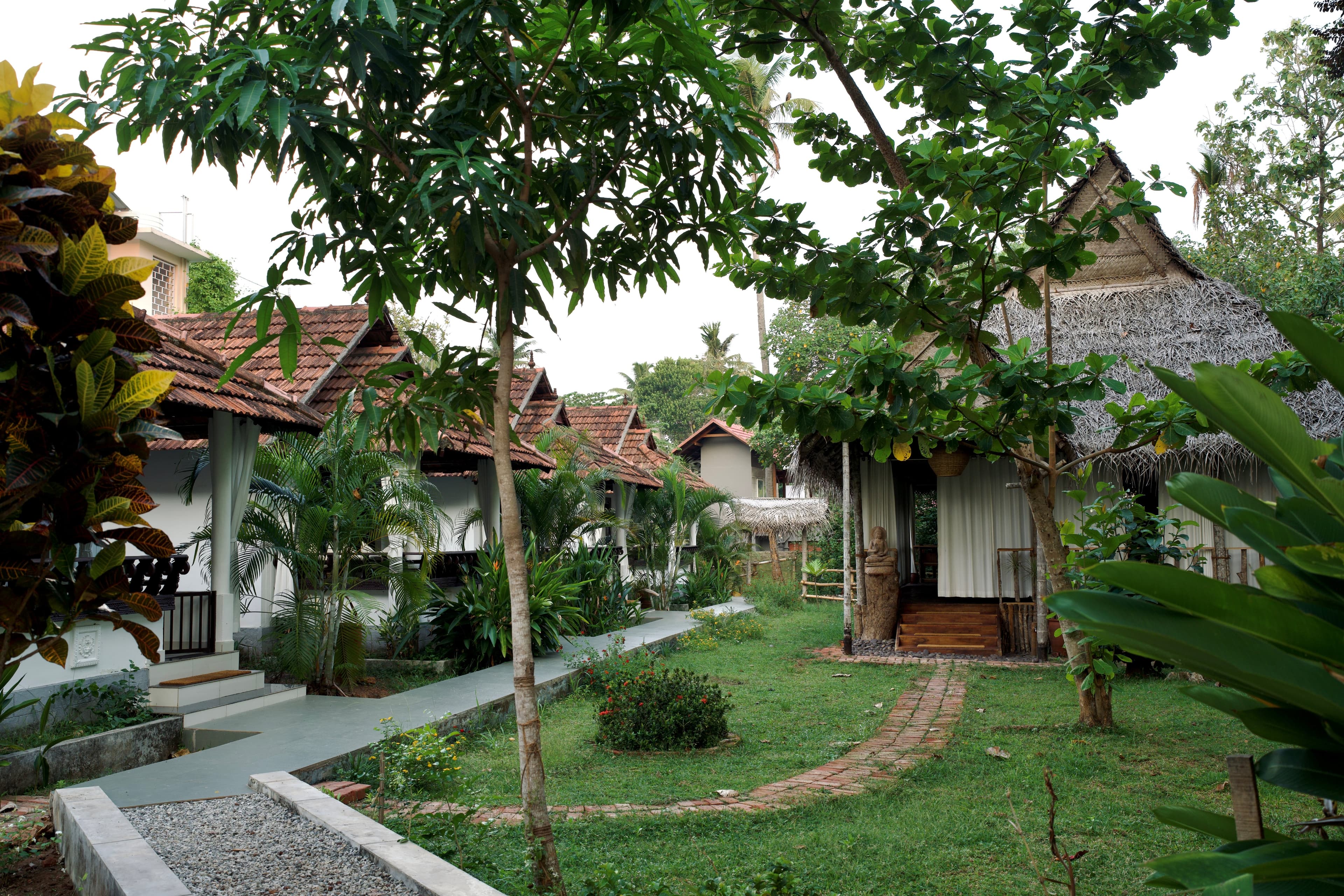 200 HRS YOGA TTC